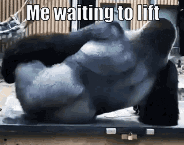a statue of a gorilla with the caption " me waiting to lift " on it
