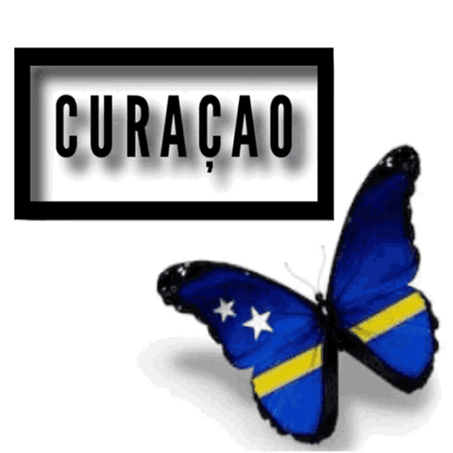 a blue and yellow butterfly is flying in front of a sign that says curaçao