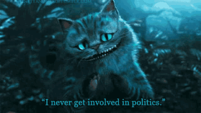 a cheshire cat from alice in wonderland is smiling and says " i never get involved in politics "