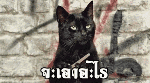 จะเอาอะไร GIF