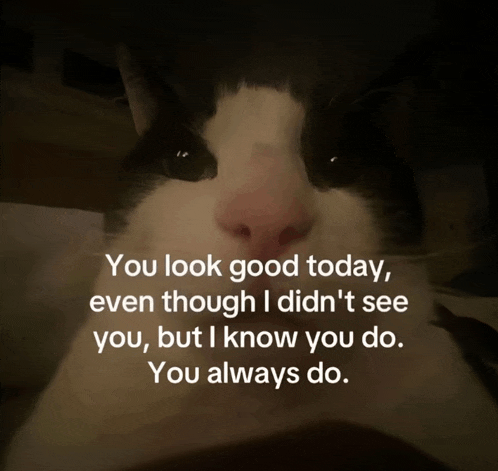 a black and white cat with a caption that says you look good today even though i did n't see you but i know you do