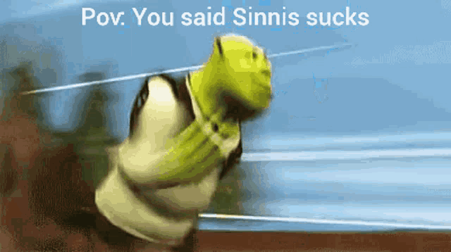 shrek is running with the words " you said sinnis sucks "