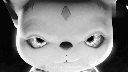 a black and white image of a cat with a scroll to explore button