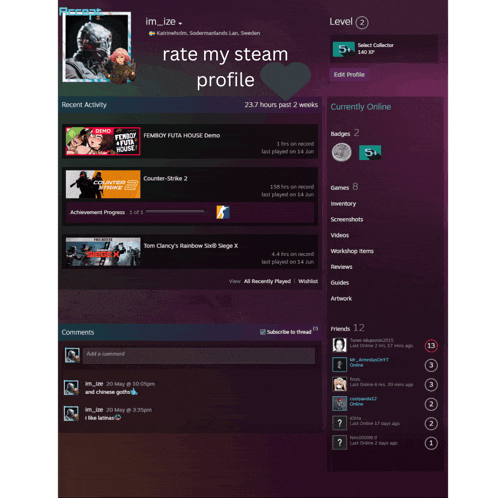 a screenshot of a steam profile with the words rate my steam profile on top