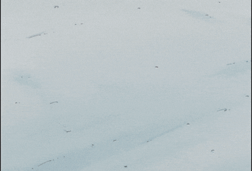 a girl in a red shirt and orange headband is running in the snow