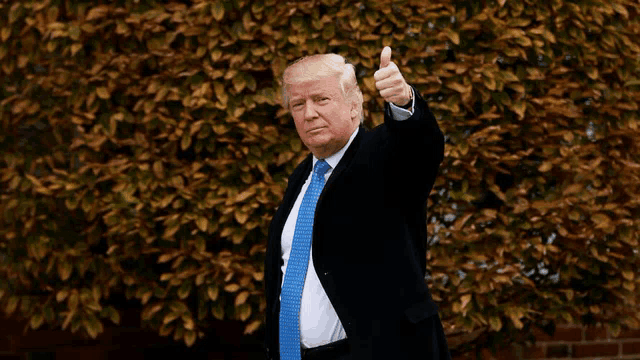 donald trump gives a thumbs up in front of a bush