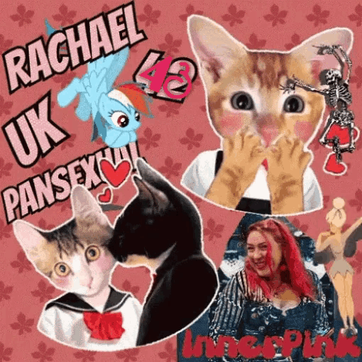 Rachael Pansexual GIF - Rachael Pansexual GIFs