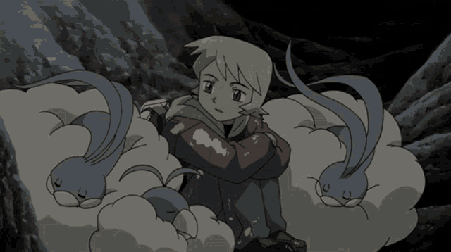 Pokemon Pokemon Ranger GIF