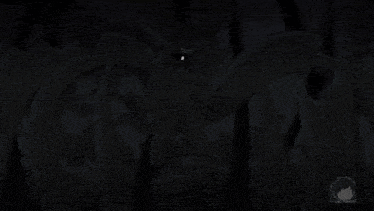 a cartoon character is trapped in a dark forest
