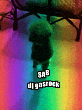 a small dog is standing in front of a rainbow colored background with the words sab digarock above it