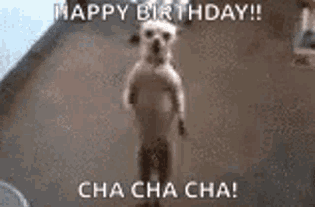 a dog is standing on its hind legs with the words `` happy birthday ! ''