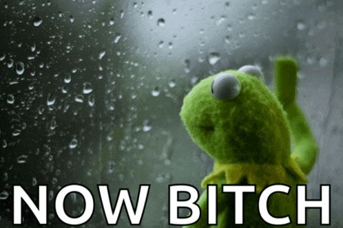 kermit the frog is looking out a window with the words now bitch written below him