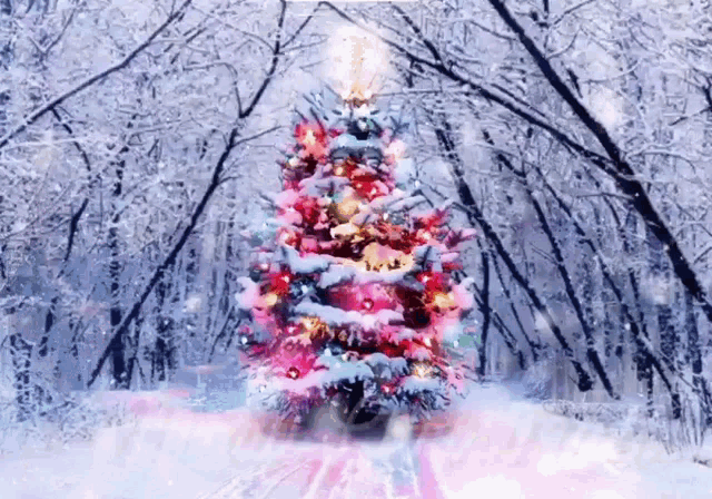 a christmas tree is lit up in the snow