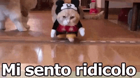 a cat is wearing a mickey mouse costume and walking on a wooden floor .