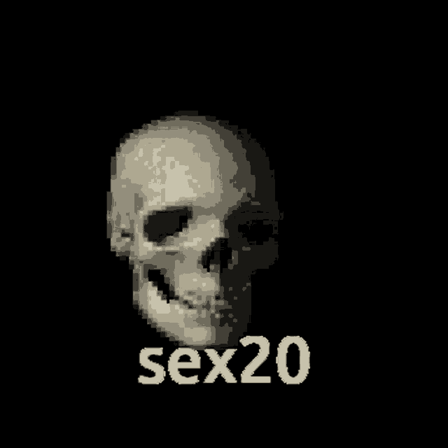 a pixel art of a human skull with the words sex20 written below it .