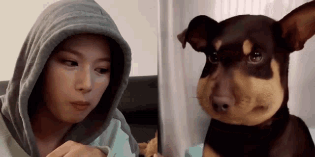 a woman in a hoodie is looking at a small dog