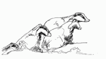 a drawing of a hand with the words stop the cruel senseless badg above it