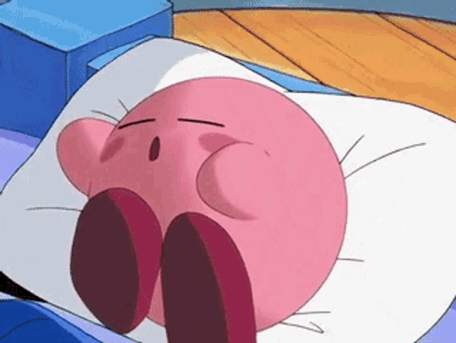 kirby is sleeping on a pillow in a bed .