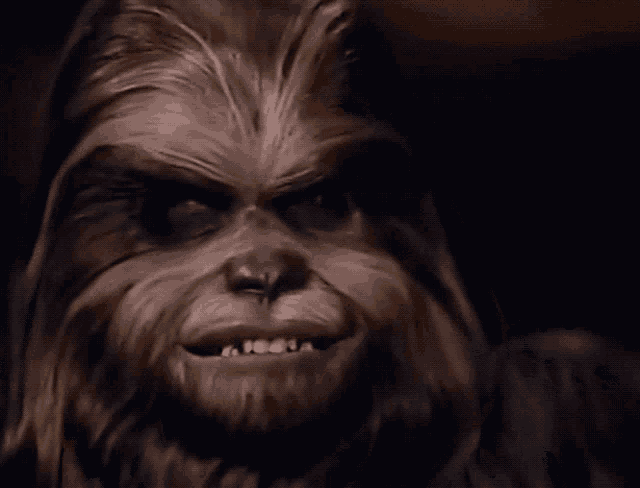 a close up of a chewbacca 's face with a blurred background
