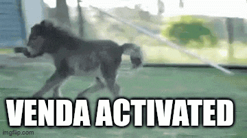 a dog is running on a leash and the words venda activated are visible .