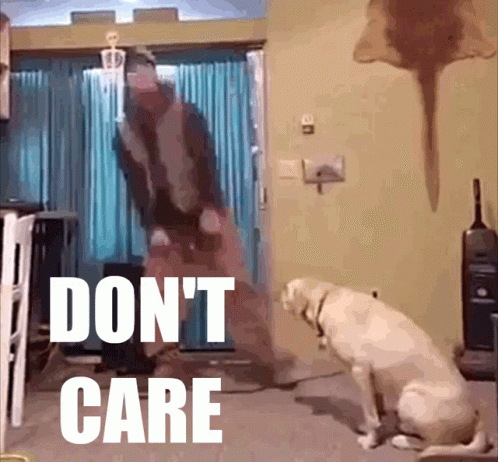 Do Not Care Dont GIF - Do Not Care Dont Care GIFs