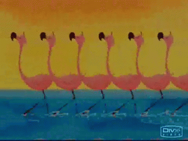 A GIF - Flamingos Cartoon Synchronized GIFs