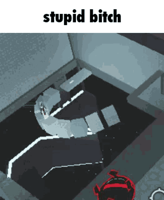 a screenshot of a video game with the words `` stupid bitch '' written above it .