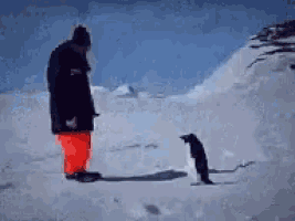 a man and a penguin are standing in the snow and looking at each other