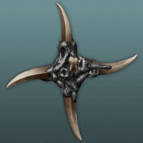 a 3d model of a skull with a tooth in the center