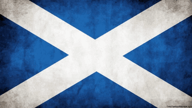 a blue and white flag with a white x in the middle