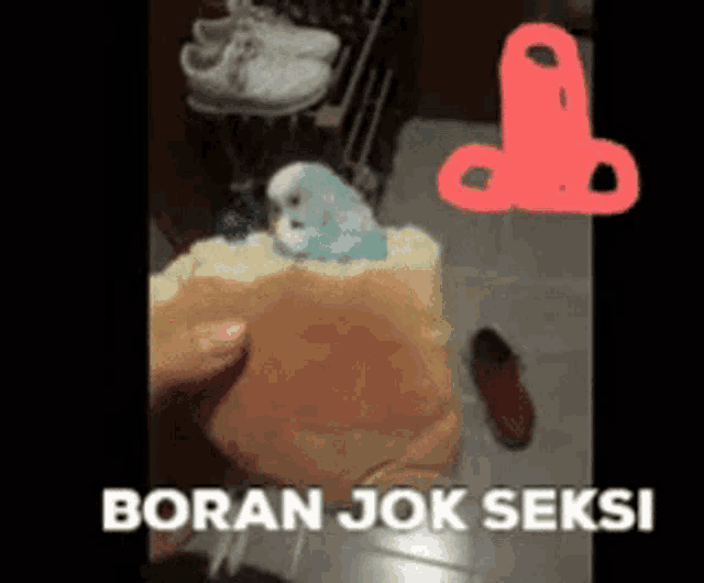 a bird is sitting on top of a piece of bread with the words boranjok seksi written on the bottom