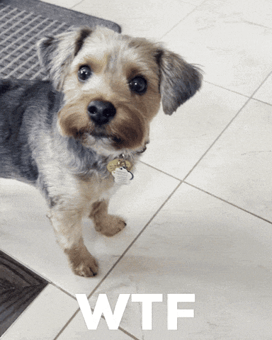 a small dog standing on a tiled floor with the word wtf written on the bottom