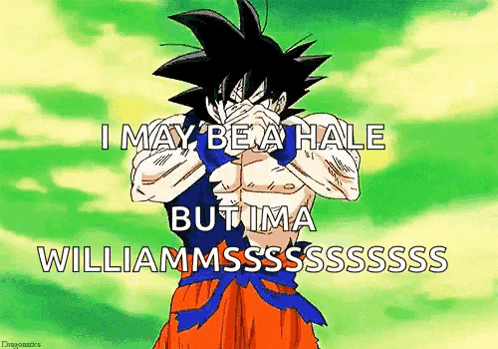 a cartoon of goku covering his face with his hands and the words i may be a hale but ima williammsssssss