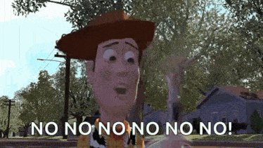 woody from toy story says no no no no no no !