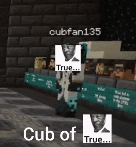 a screenshot of a video game that says cubfan135 true cub of true