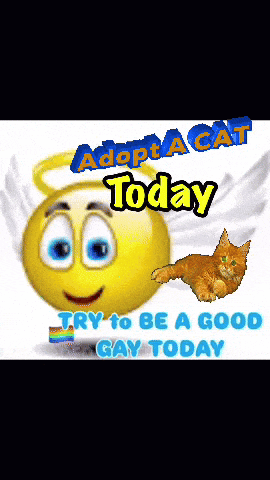 a yellow smiley face with wings and the words adopt a cat today