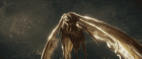 a moth with wings is flying in the dark