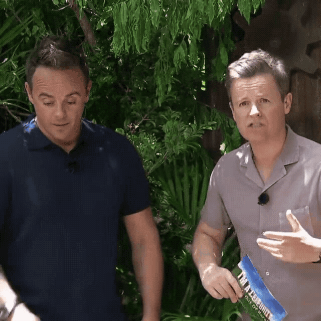 Ant And Dec Im A Celebrity GIF - Ant And Dec Im A Celebrity Shock GIFs
