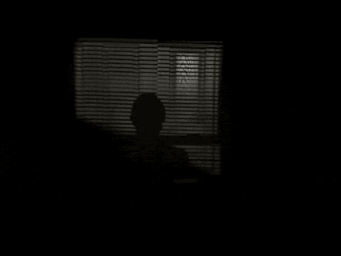 donald trump looks out of a window with blinds on it