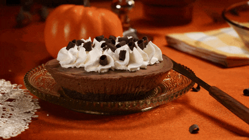 a chocolate pie with whipped cream and chocolate chips on it