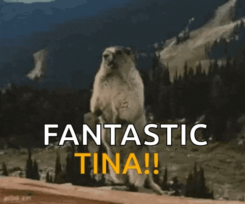 a groundhog is standing on its hind legs in front of a mountain and the words fantastic tina !