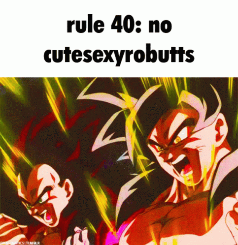Rule40 Rule GIF - Rule40 Rule Ssj4 GIFs