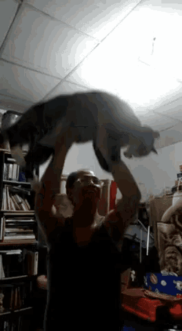 a man is holding a cat over his head