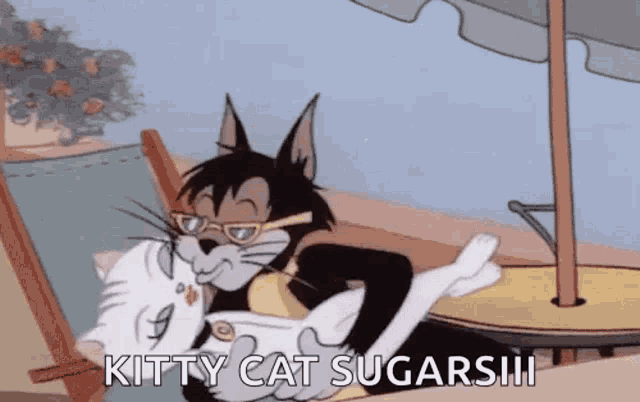 a cartoon cat is holding a white cat and saying kitty cat sugarsh .