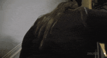a woman 's back is shown in a blurry photo with the word zeus visible