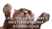 a cat is making a funny face and says `` call the fbi mt airey western virginia econolodge ''