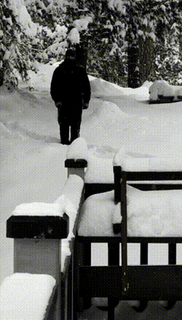 a man in a black jacket is walking through a snowy area