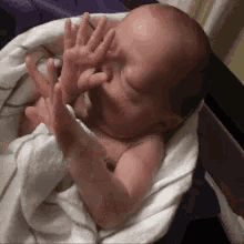a baby is wrapped in a white blanket and making a peace sign with his hands .