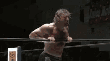 a group of people are watching a wrestling match in a ring