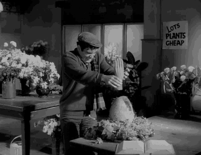 a black and white photo of a man holding a potted plant in front of a sign that says " lots plants cheap "